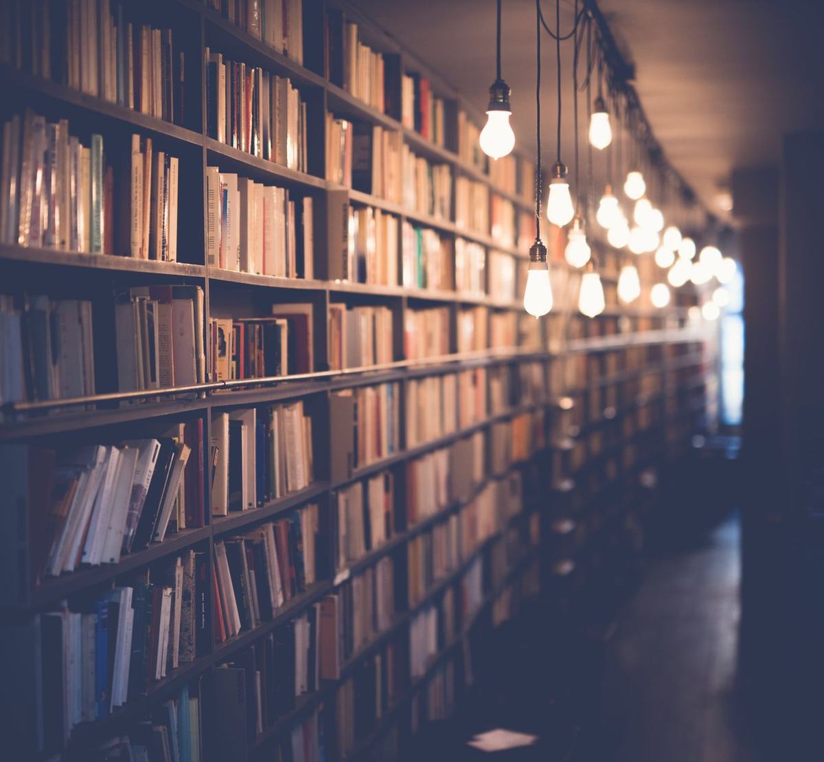 Prestatgeries plenes de llibres en una biblioteca